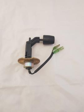 SWITCH, LOW WATER